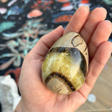 Load image into Gallery viewer, Septarian Egg