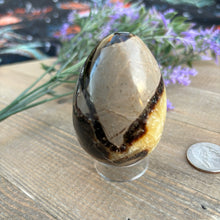 Load image into Gallery viewer, Septarian Egg