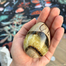 Load image into Gallery viewer, Septarian Egg