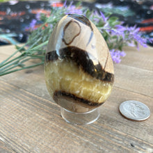 Load image into Gallery viewer, Septarian Egg