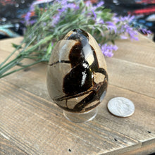 Load image into Gallery viewer, Septarian Egg
