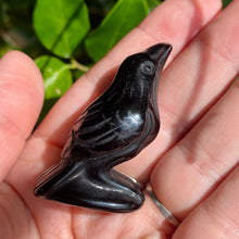 Load image into Gallery viewer, Obsidian Raven Carving