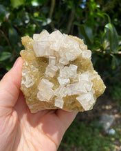 Load image into Gallery viewer, Halite on Trona (High Quality)