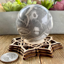 Load image into Gallery viewer, Shell Stone 65mm Sphere