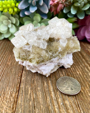 Load image into Gallery viewer, Halite on Trona (High Quality)