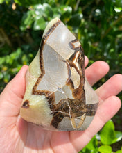 Load image into Gallery viewer, Septarian Flame