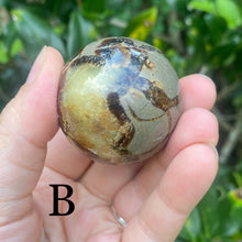 Load image into Gallery viewer, Septarian Spheres (Pick One)