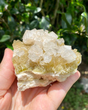 Load image into Gallery viewer, Halite on Trona (High Quality)