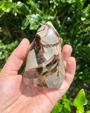 Load image into Gallery viewer, Septarian Flame