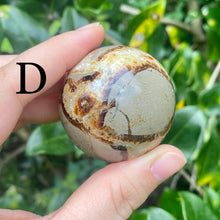 Load image into Gallery viewer, Septarian Sphere (Pick One)