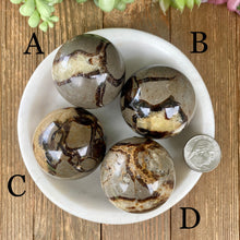 Load image into Gallery viewer, Septarian Sphere (Pick One)