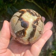 Load image into Gallery viewer, Septarian 64mm Sphere