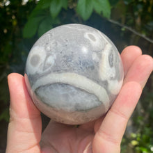 Load image into Gallery viewer, Shell Stone 65mm Sphere