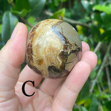 Load image into Gallery viewer, Septarian Sphere (Pick One)