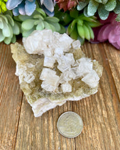 Load image into Gallery viewer, Halite on Trona (High Quality)