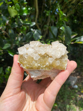 Load image into Gallery viewer, Halite on Trona (High Quality)
