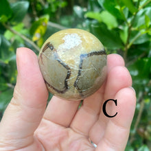 Load image into Gallery viewer, Septarian Spheres (Pick One)