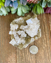 Load image into Gallery viewer, Halite on Trona (High Quality)