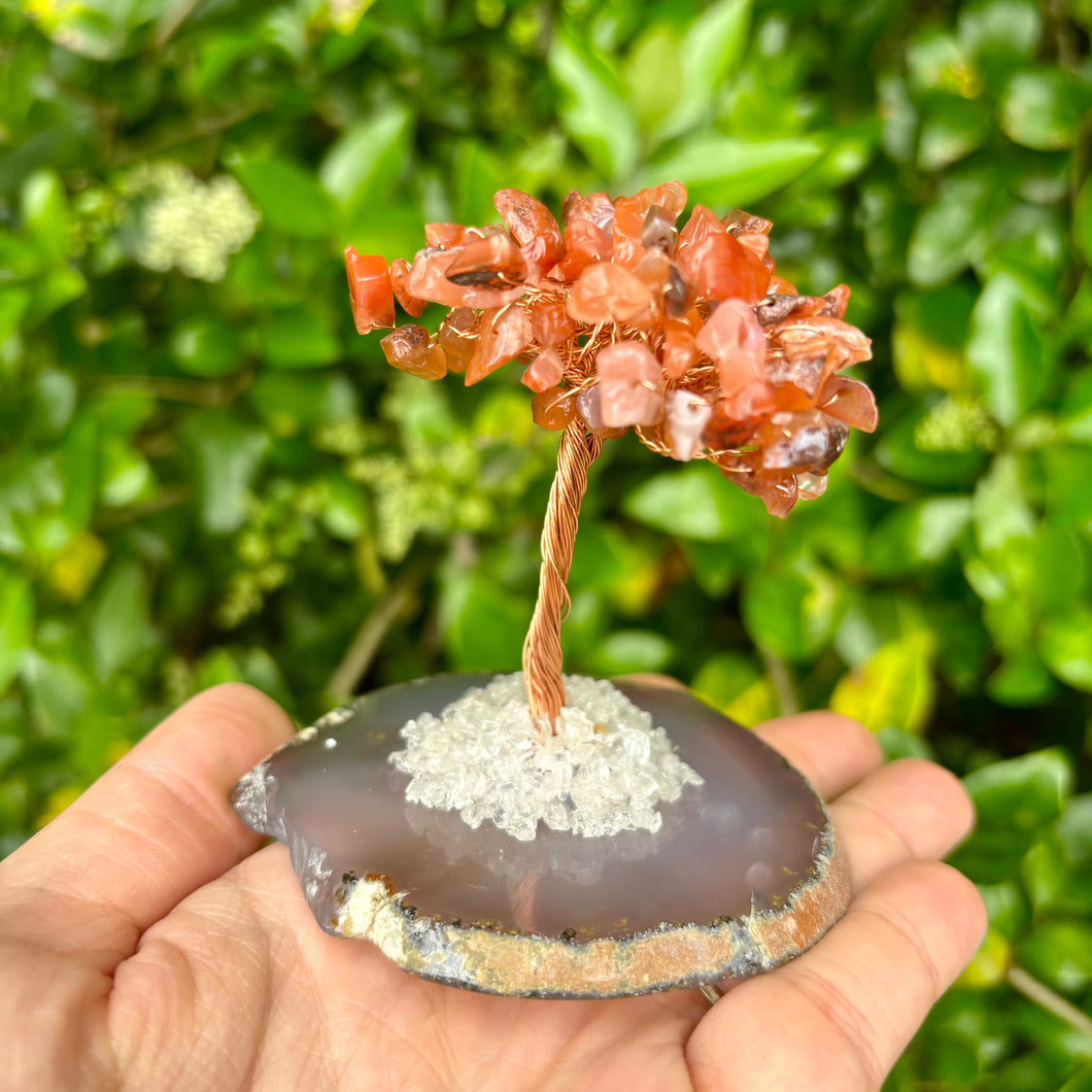 Red Jasper Crystal Chip Tree on Agate Slice