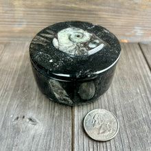 Load image into Gallery viewer, Black Fossils Ammonite Orthoceras Jewelry Box

