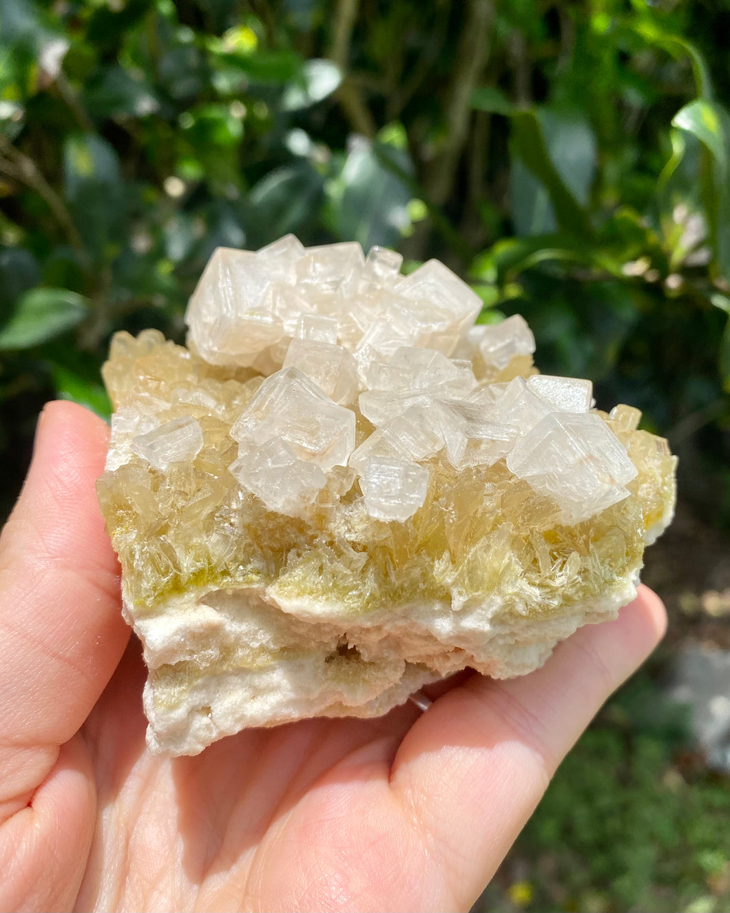 Halite on Trona (High Quality)