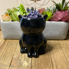 Load image into Gallery viewer, Black Cat Ceramic Wax/Oil Warmer
